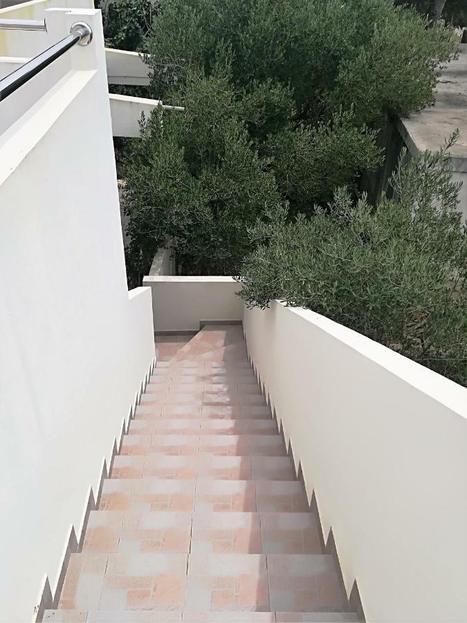 Apartman Rosanda Premuda Екстериор снимка